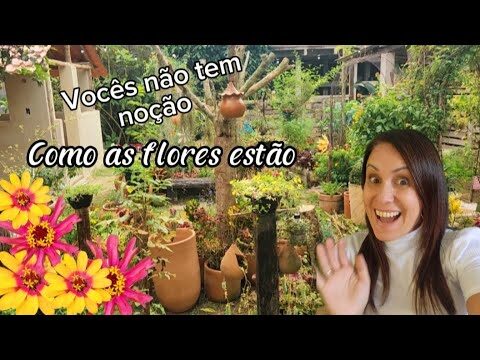 Lojas Maia Jardim: Variedade e Qualidade ao Seu Alcance