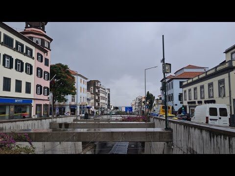 Casos do Dia em Funchal: Análise e Reflexões