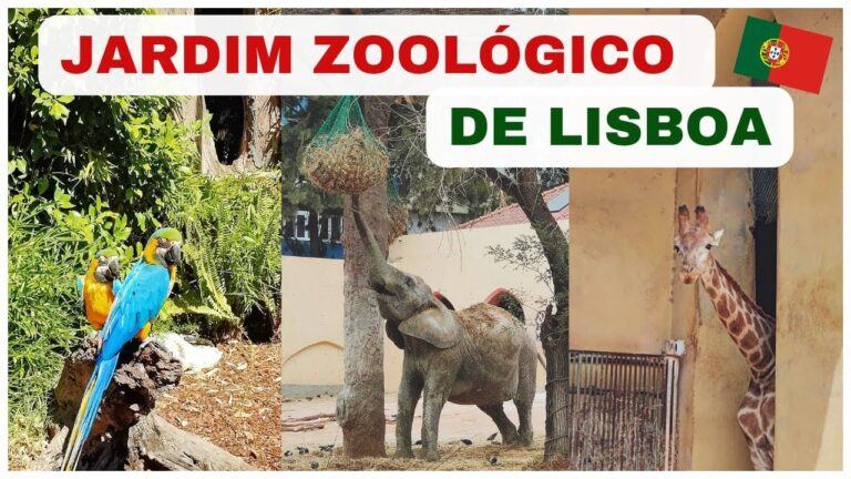 Preços do Jardim Zoológico de Lisboa: Um Guia Completo