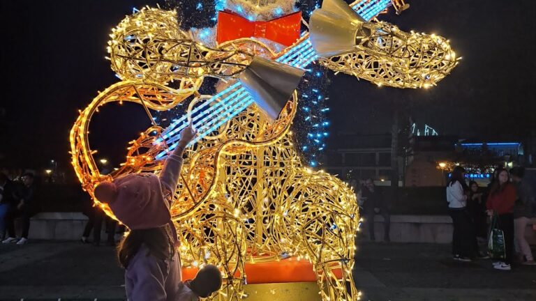 Encantos do Pai Natal em &Aacute;gueda